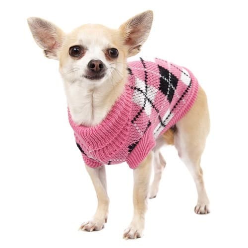 Rainstorm Pink Leopard Animal Print Dog Jacket By Urban Pup – Love